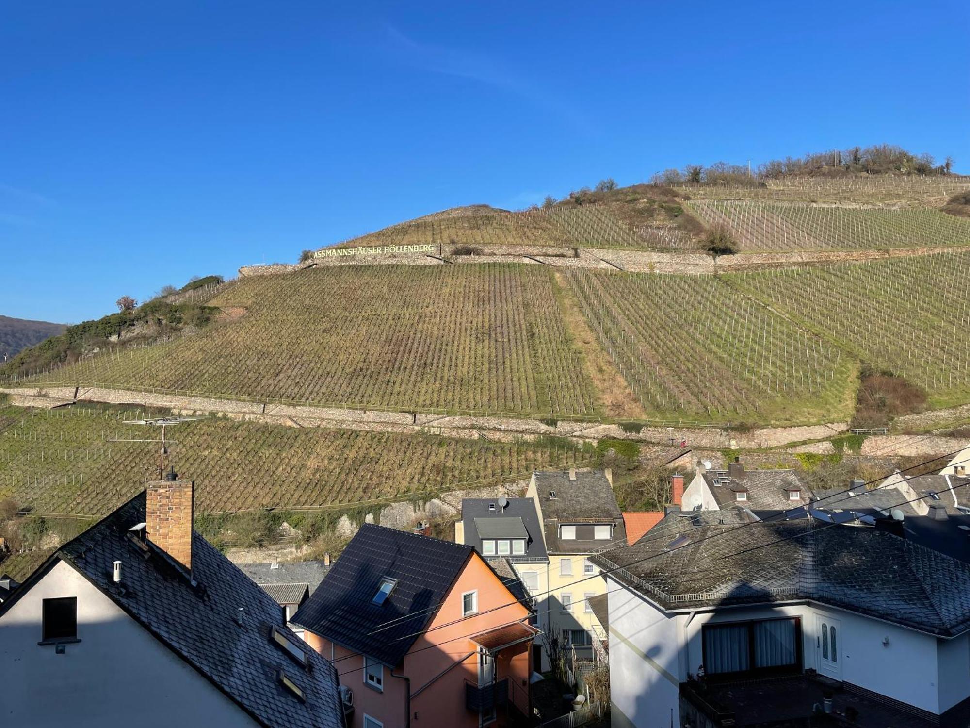 Apartamento Haus Am Weinberg Rüdesheim am Rhein Habitación foto