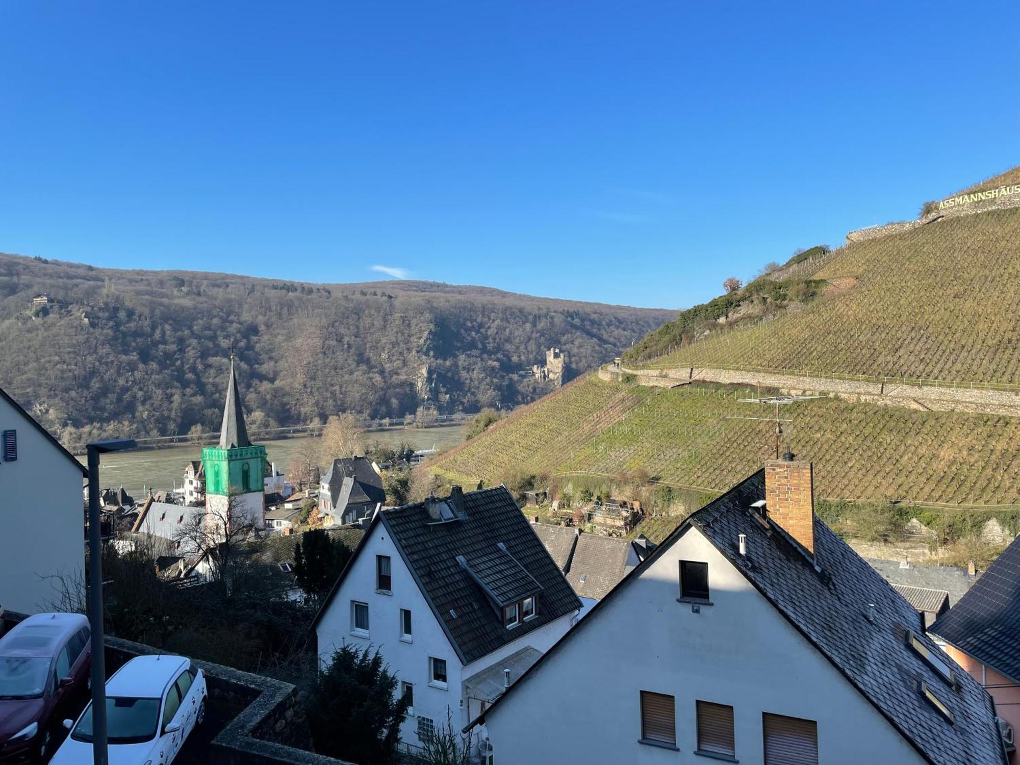 Apartamento Haus Am Weinberg Rüdesheim am Rhein Exterior foto